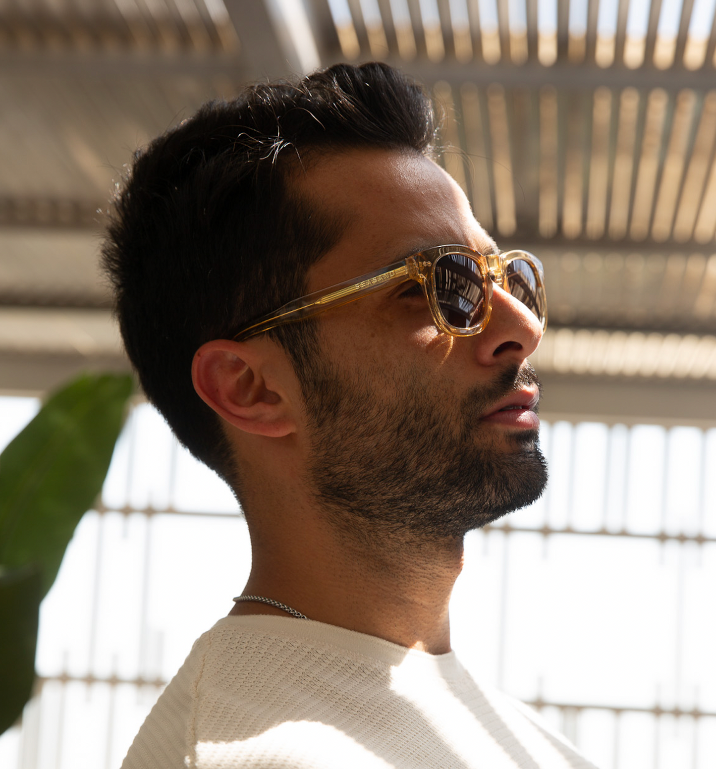 Golden Hour - Polarized Sunglasses