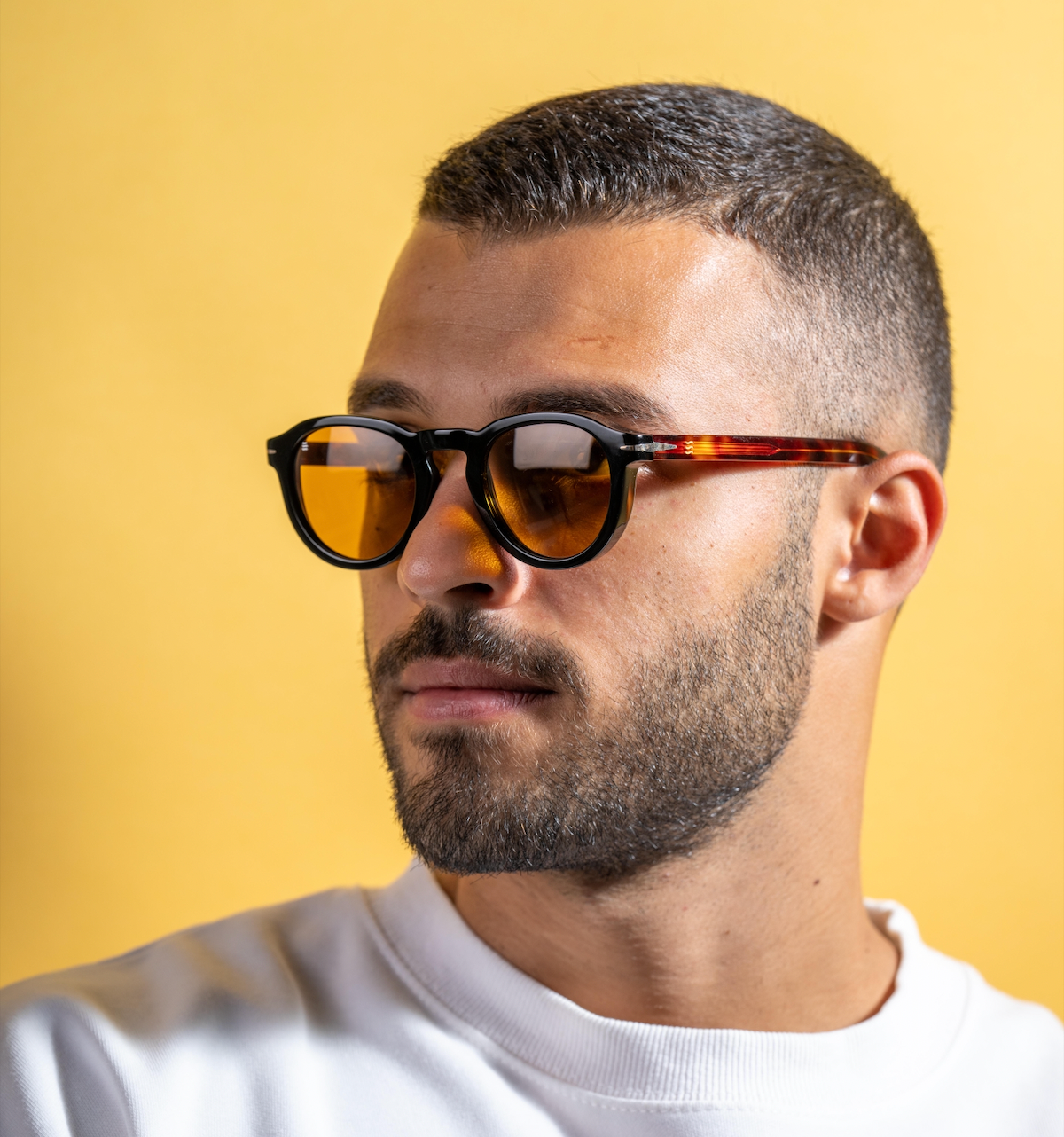 Honey Bee - Polarized Sunglasses